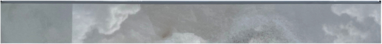 Reves Noisette Glossy Bullnose 3 x 24